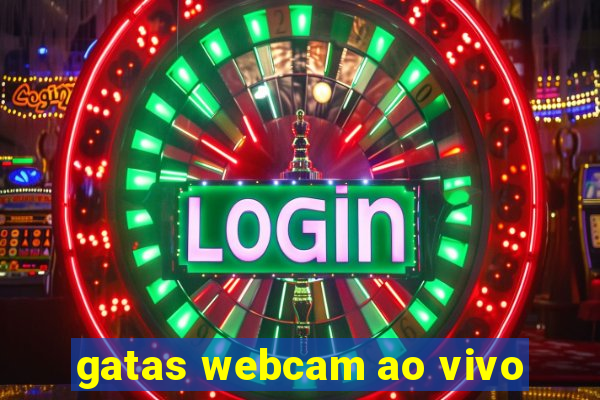 gatas webcam ao vivo